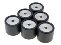 Variomatikgewichte Polini 19X17Mm - 9,0G
