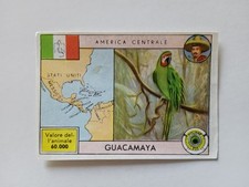 FIGURE ZOO ANIMAL FRIEND WONDERFUL LIFE 1956 No. 236 RECOVERY