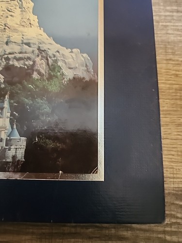 Disneyland Il Primo Quarto Di Secolo 1979 Walt Disney Productions Libro Copertina Rigida - Foto 8 di 16