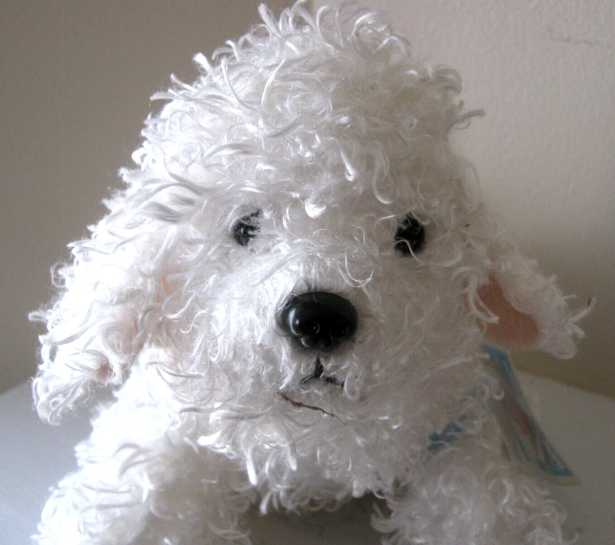 Webkinz hot sale bichon frise