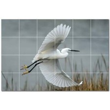 Bird Ceramic Tile Wall Mural PT500136. 72" W x 48" H 24 12x12 tiles