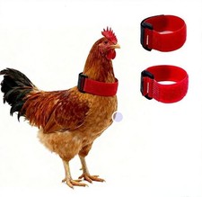 â€‹2Pcs Crow Rooster Collars, Adjustable Nylon Anti-Noise Neck Belt for Chick...