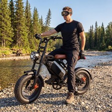 1500W Peak Electric Bicycle 16'' Fat Tires E-Mountain bike 48V 20Ah for Adults