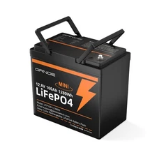 GreenOE 12V 100Ah Mini Size 1280Wh LiFePO4 Battery With Built-in 100A BMS for RV