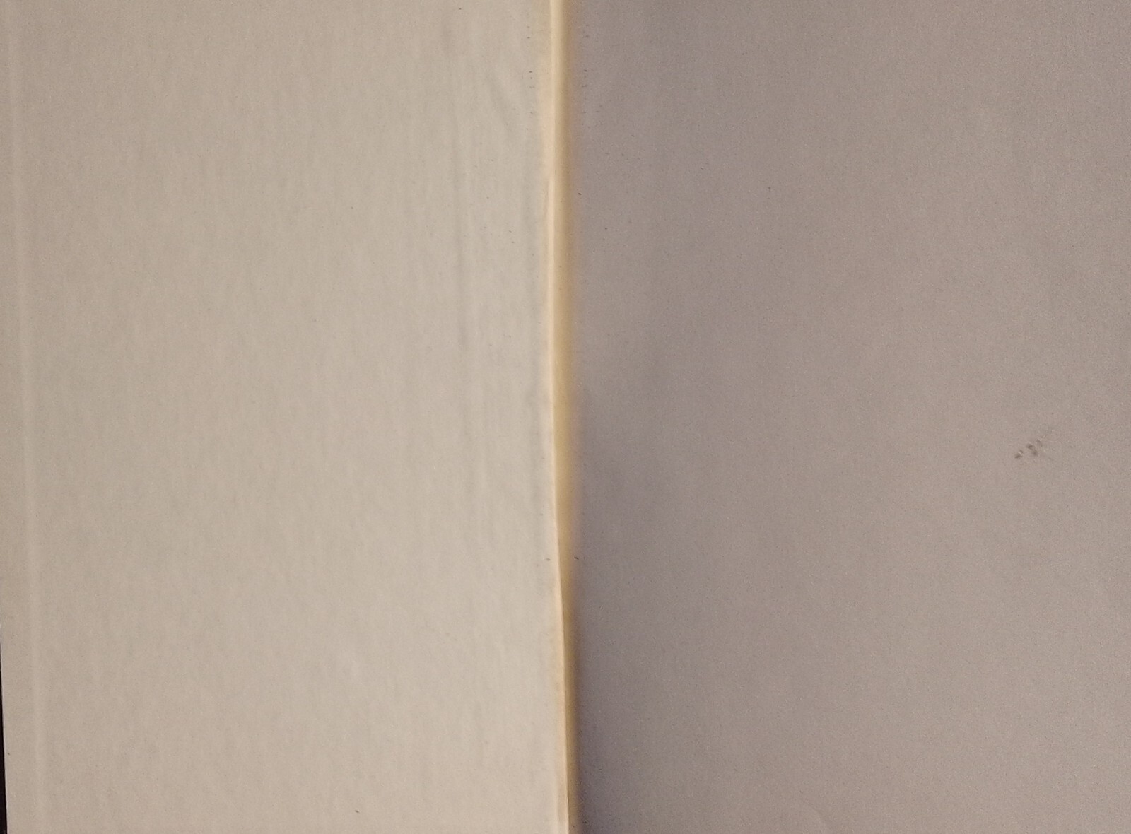 Picture 11 of 12