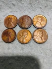 1909 VDB ~ LINCOLN WHEAT CENT LOT ~ CH UNC ~ 6 COINS