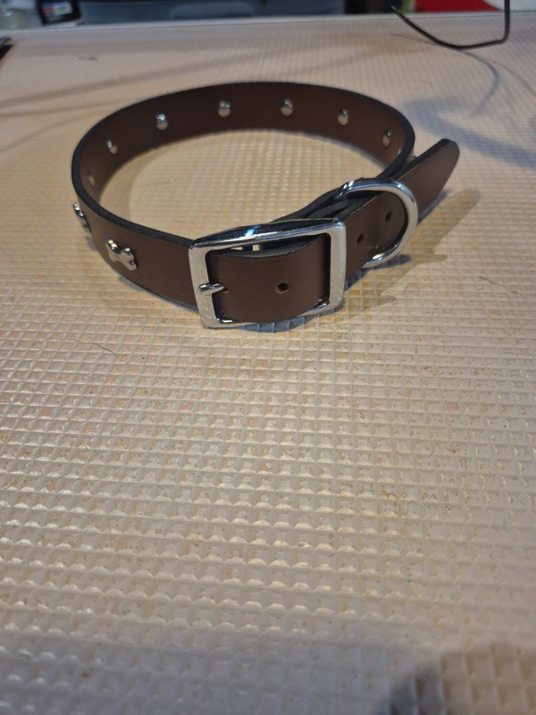 Youly. Brown Leather Bone Stud Dog Collar, For Neck Sizes 18-21, L - XL
