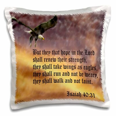 #ad 3dRose Isaiah 40 31 Bible verse with eagle against a troubled sky 16x16 inch Pil $13.99