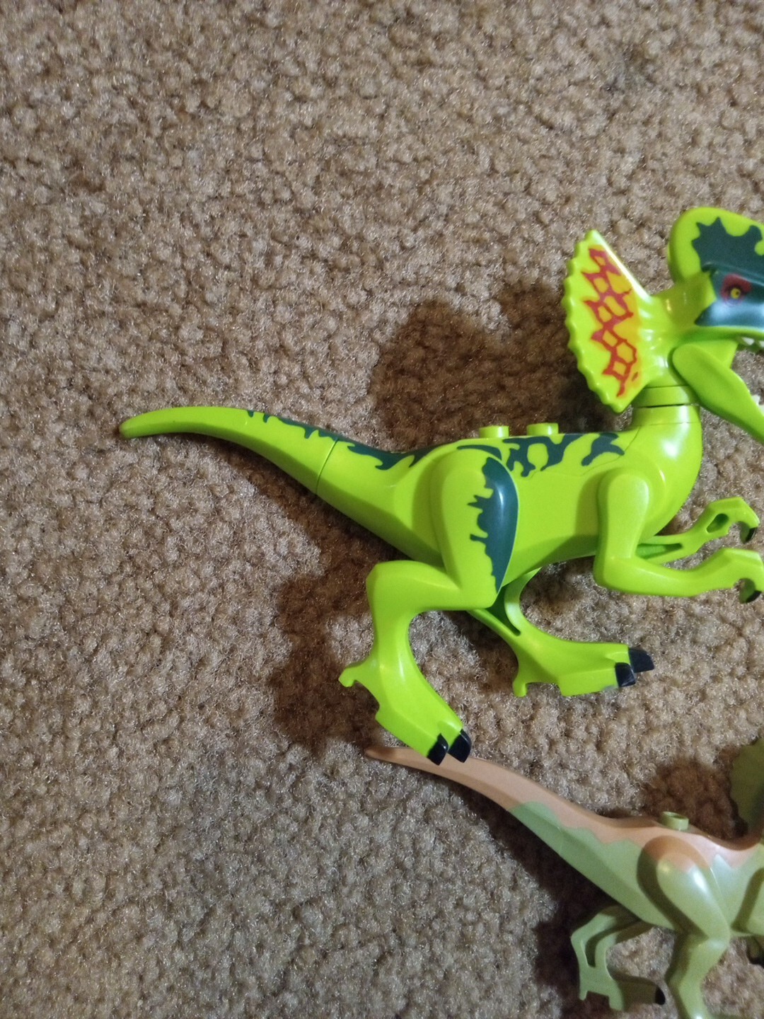Picture 5 of 23