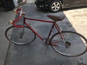 raleigh reynolds 531