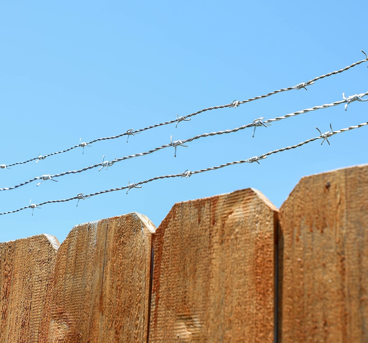 Suvunpo 328FT Barbed Wire, 4 Point Barbed Wire Fence Perfect For Crafts