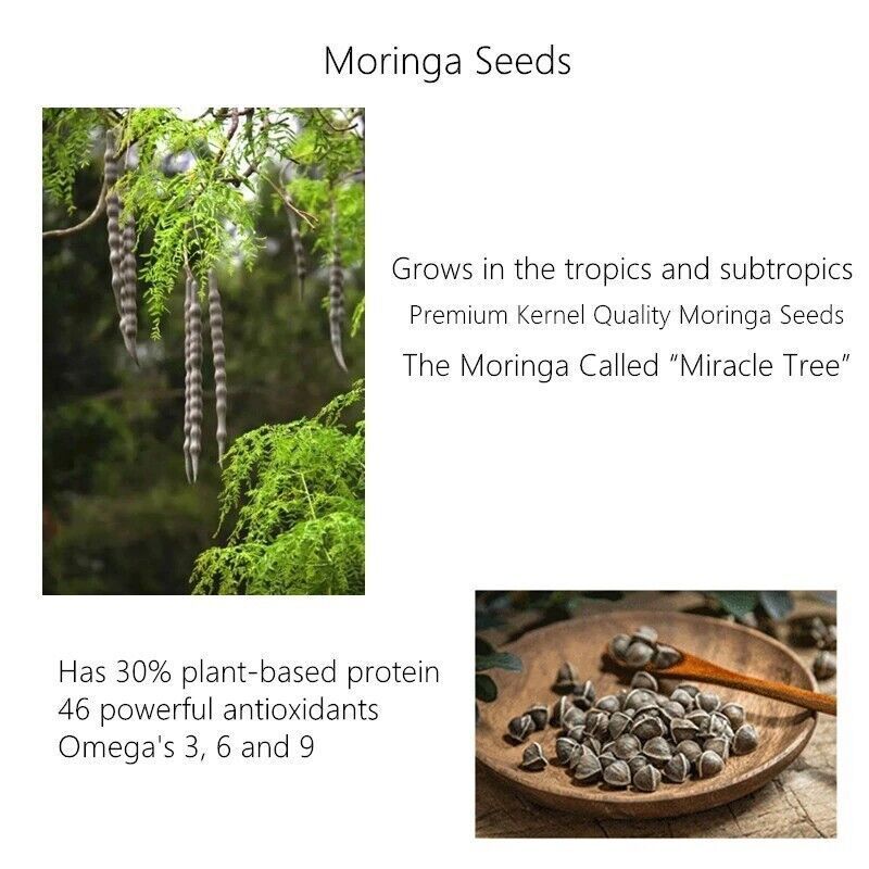 Dr.Sugarm Green Tea Face Mask Remove Acne Blackhead Nose Deep Cleansing