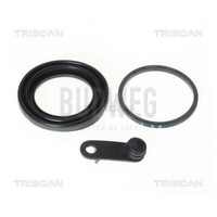 Dichtung, Bremssattelkolben Triscan 8170 189943 FüR