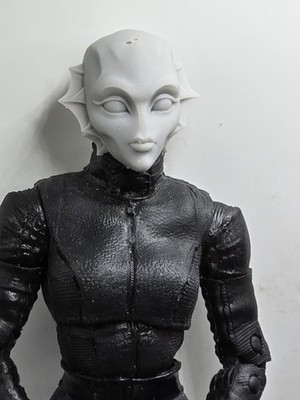 3d Printed CREATURE TASK FORCE NINA HEAD 1:10 7''  Dc MULTIVERSE 