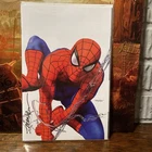AMAZING SPIDER-MAN #1 Mayhew Virgin Variant B! SIGNED By Mike Mayhew W/ COA