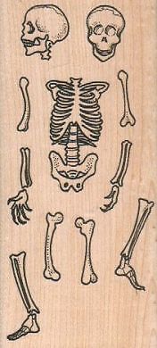 Skeleton Parts (Some Assembly Required) 2 1/4 x 4 3/4'' Rubber Stamp, Halloween