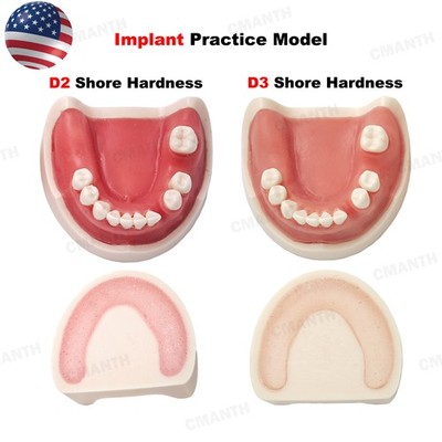US Dental Teeth Implant Model Soft Gums Model Drilling Open Suture Practice