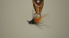 (5) Size#12 Barbless Autumn UV Orange Caddis Beadhead Jig w/ CDC   [A119]