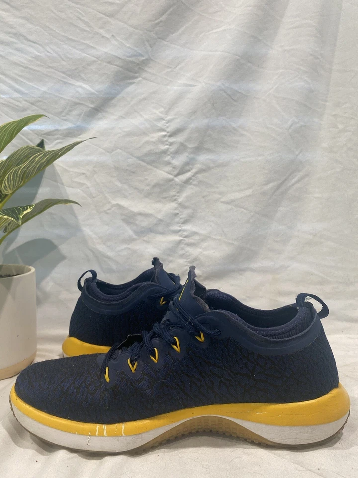 Jordan Trainer 1 Low Michigan Wolverines Talla 10 Foto 2 de 4