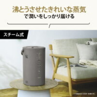 youE1【used】象印スチーム式加湿器 EE-DD50-WA ZOJIRUSHI Steam Humidifier EE-DD50 WA White 480ml/h 4.0L NEW