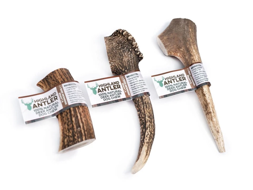 Highland Antler Corna Di Cervo per Cani Snack Masticativo 100% Naturale