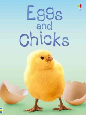 Eggs and Chicks (Beginners Nature, Level 1) - Patchett, Fiona