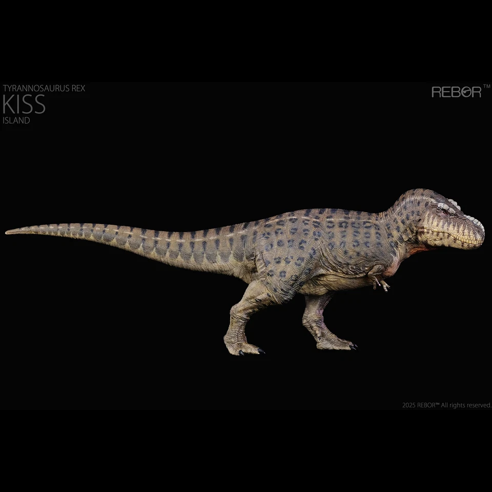 REBOR 1:35 Tyrannosaurus Rex “KISS” Isla Modelo Colección Dinosaurio Animal Regalo Foto 2 de 4