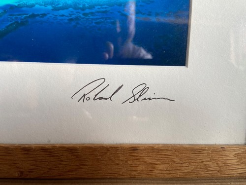 Fotografia Bermuda Roland Skinner firmata con cornice - Foto 4 di 12