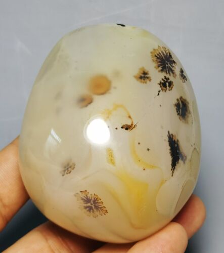 Natural polished Amazing Moss Agate Sphere Palm Stone Reiki Healing - Picture 5 of 12