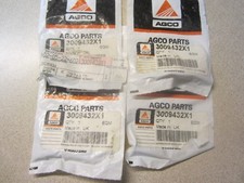 Agco 3009432X1 (4) Screws