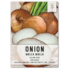 Walla Walla Onion Seeds For Planting Allium cepa 