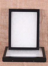 Collector's Display Case: 6 x 8 x 3/4" (Riker Type) - Package of 2