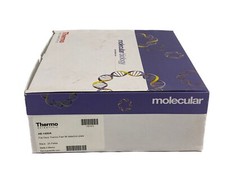 (25) THERMO 96-Well 0.3mL PP Semi-Skirted Flat Deck Black Detection PCR Plates