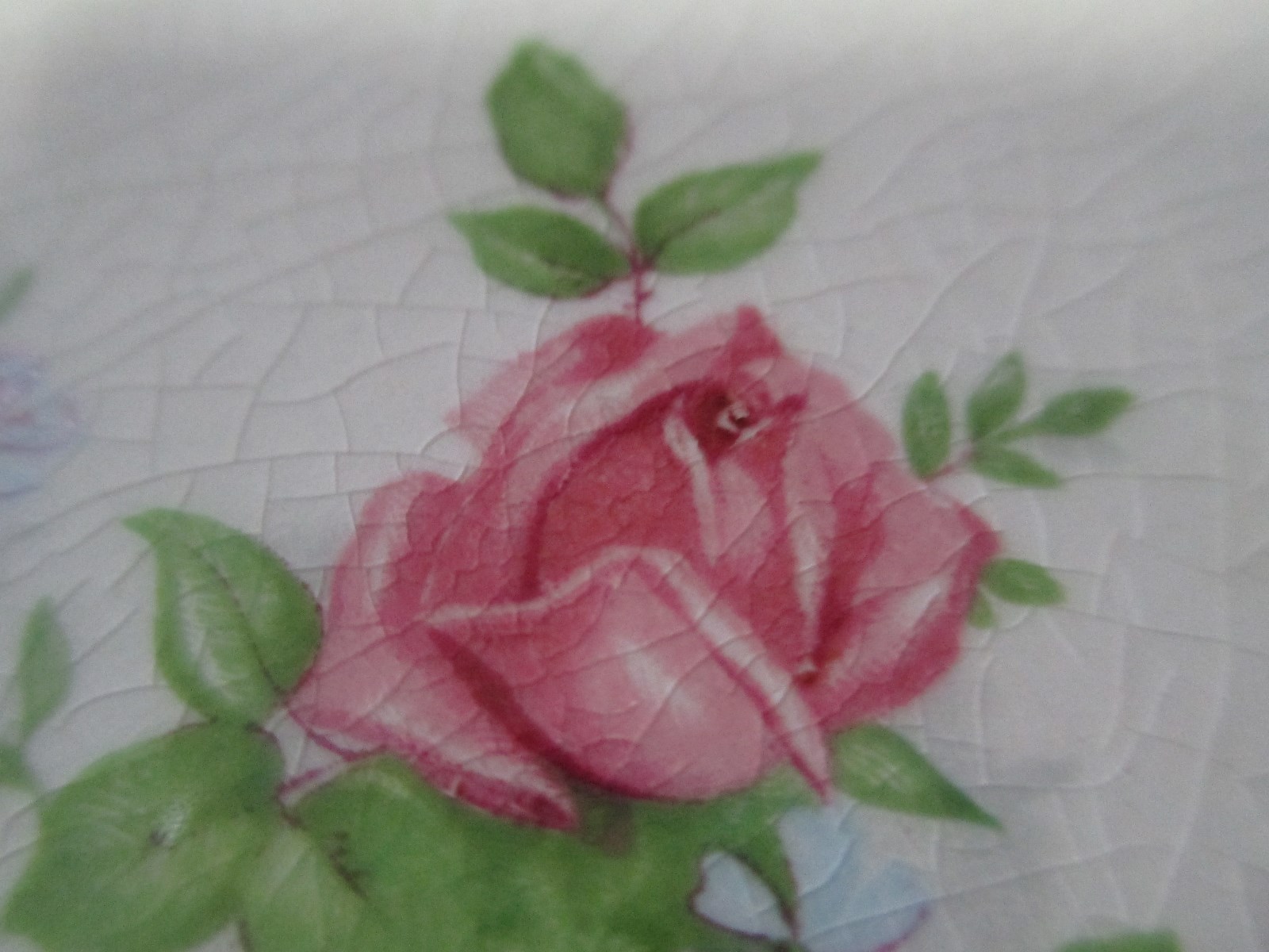 Picture 6 of 9