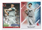 Ted Williams