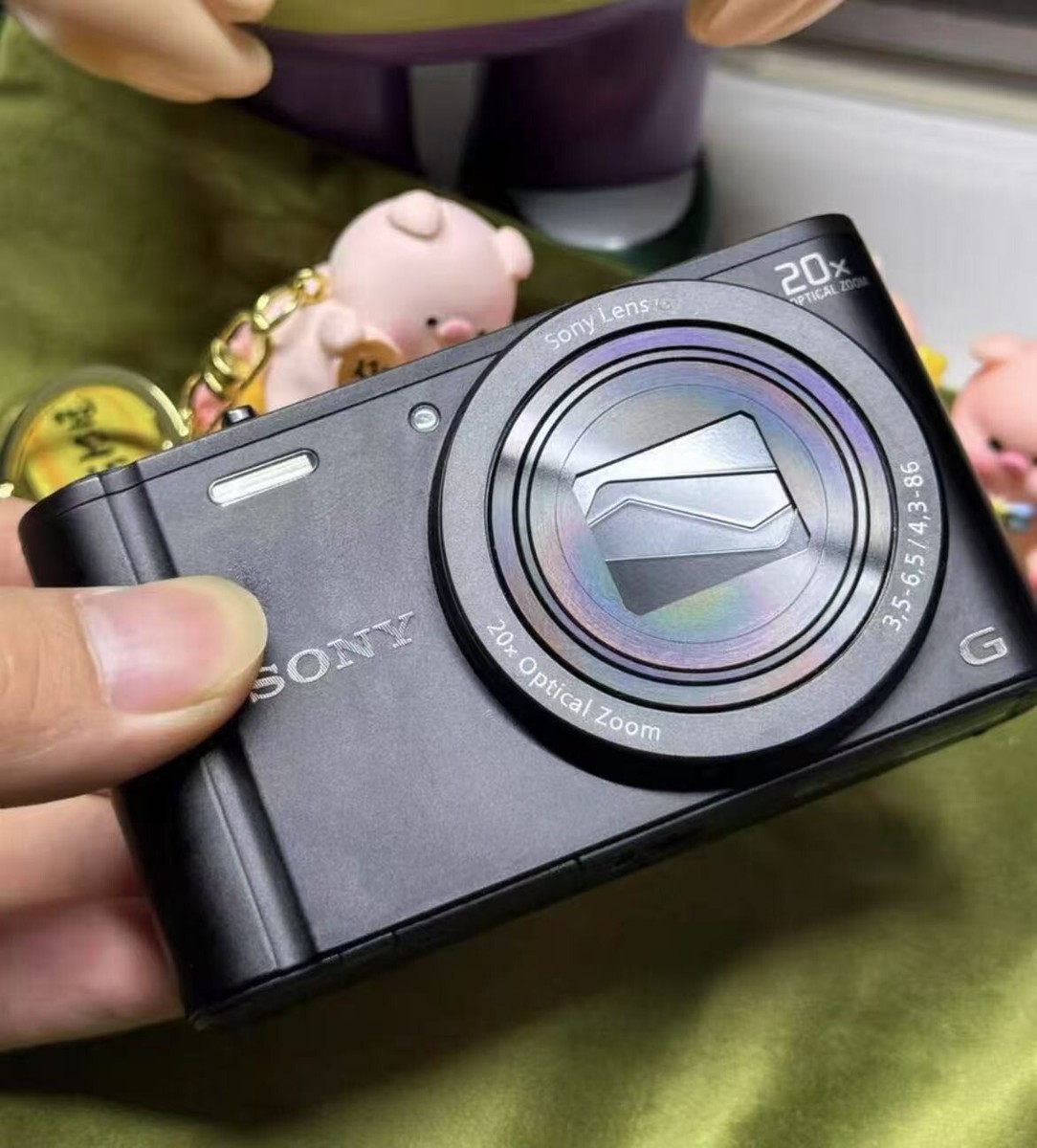 SONY Cyber-Shot DSC-WX350 Compact 18 MP Digital Camera 20x Optical