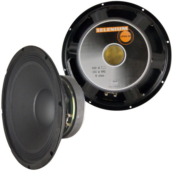 dj speaker online