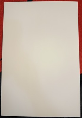 TOP GUN 40th Anniversary- MAVERICK- 12 X 18 AMC Limited Edition