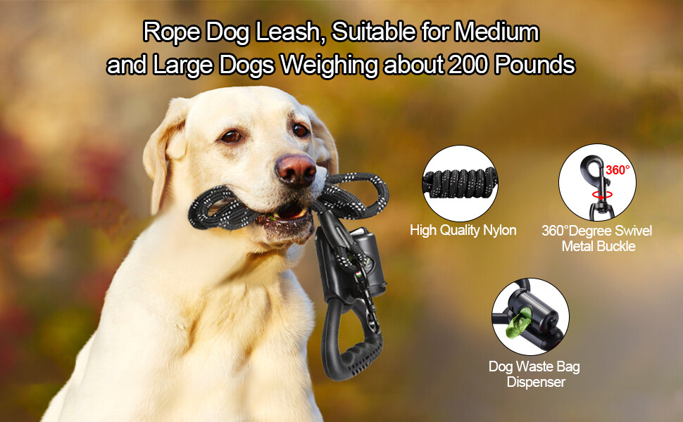 Dog Leash