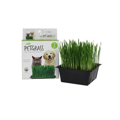 wheatgrass for dogs