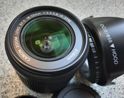 Canon EF-S 18-55mm 1:3.5-5.6 IS STM MACRO Lens for-Canon EOS Digital Cameras - Picture 10 of 12