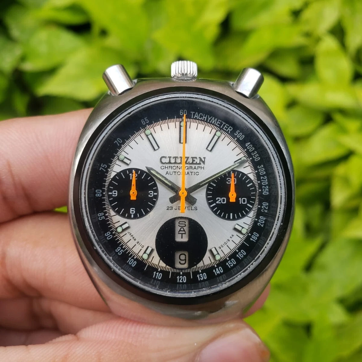 Citizen sales bullhead 1970