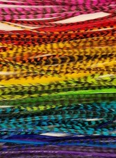 XL Feather Hair Extensions 12 Bright Colors 12-15" Genuine Whiting Farms DIY Kit