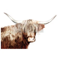 Majestic Moo Highland Cow | A1 Fiber Decoupage | Redesign with Prima