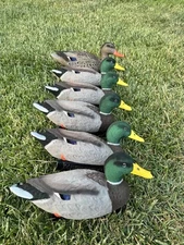 Hyper realistic Fully Flocked Custom mallard G&H decoys