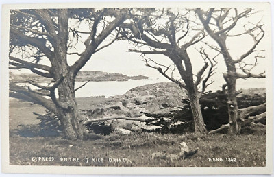 Cypress on the 17 Mile Drive RPPC Postcard took 17 miles to get to it