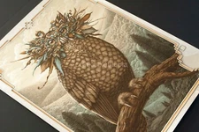 NC Winters Vigilant Owl Artist Silver Foil Variant #/4 Urban Art Print Poster