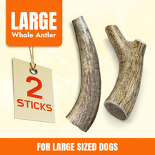 Whole Elk Antlers for Large dogs   2pcs, Premium Grade A Elk Antler Dog Chew