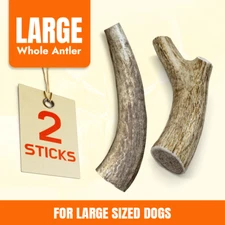 Whole Elk Antlers for Large dogs – 2pcs,  Premium Grade A Elk Antler Dog Chew