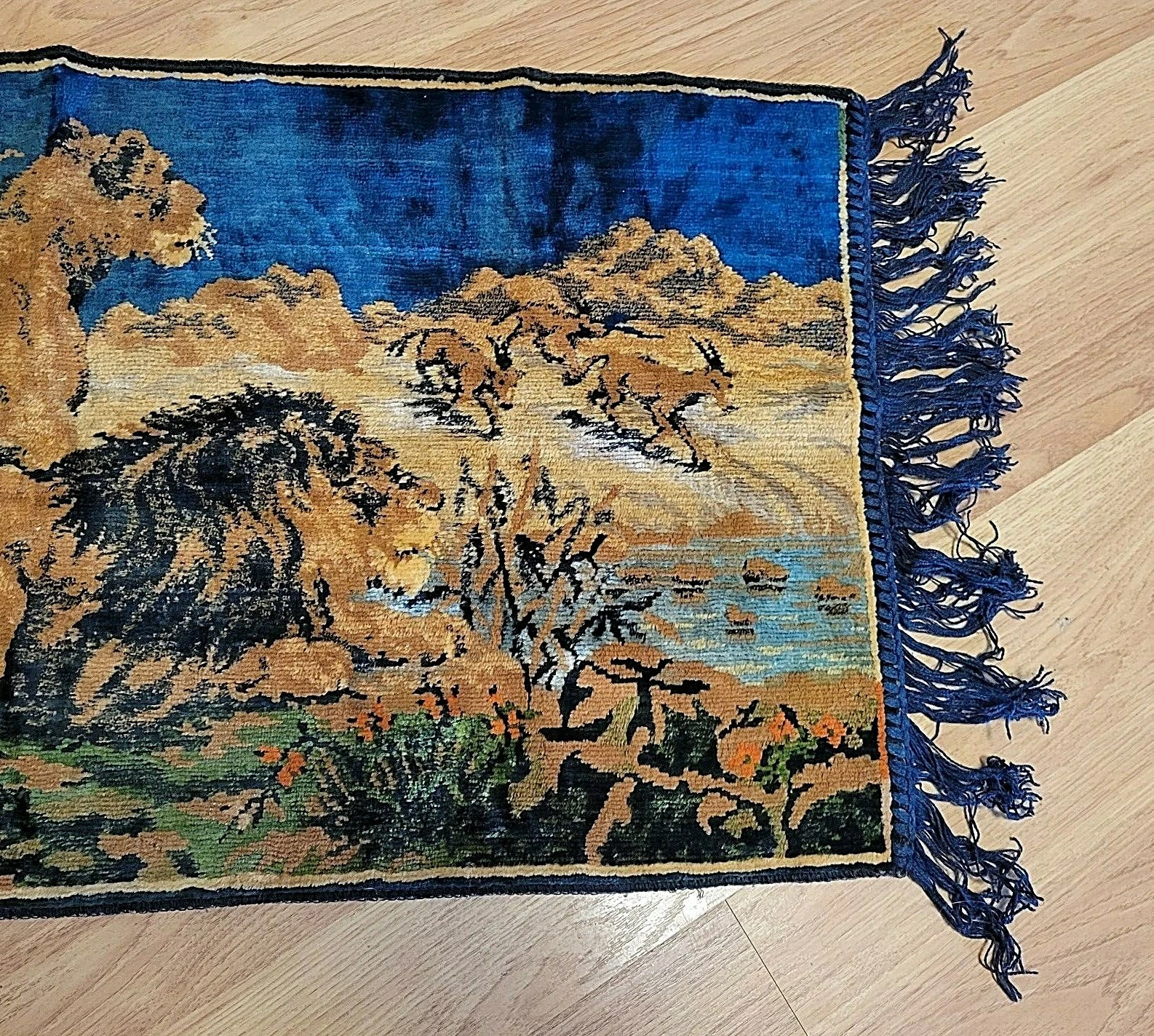 Picture 4 of 12